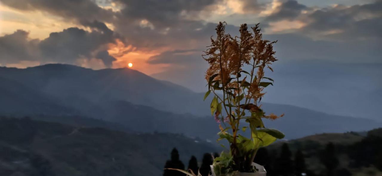 Valley View Homestay Darjeeling  Buitenkant foto
